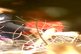 افلام سكس امريكا مجائني مفتوح