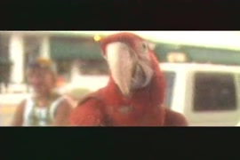 نساء جميلات عاريات تماما