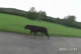 فاتنة مثير تصدر أصوات مثيرة أثناء ممارسة الجنس.