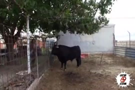 سكس عربي في الصحرا