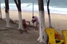 افلام بورنو جابون تحكاك وياباني تحكاك في تحت طاولة العشاء تلماس