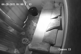 قصص سكس حمار مع بنات