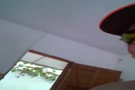 Xnxx اليونان خلفي كلاب