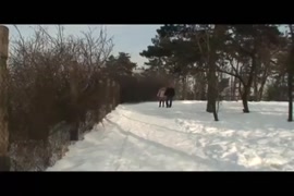 شخص ينيك مرت اخوه وهي عم تجلي