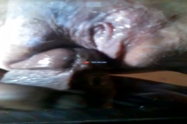 قصص سكسي رجال و حيوانات