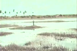 صور نيك زباوي طالبات ومدريسن نار لبن