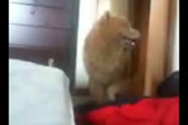 صور سكس نساء سمينة مربربة. نسوانجي الدالة