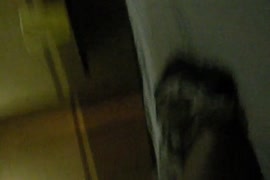 سكس حيوانات مع سيسي