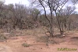 سكس صور كسس مفتوحه متحركة