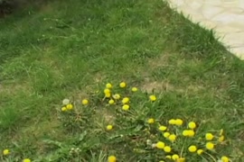 سكس فن و اميرة النار