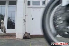 نيوعرب سكس يسرا