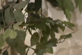 صورة اجمل بنت في اليمن سكس