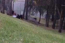 سكس بنات لبست الفيزون