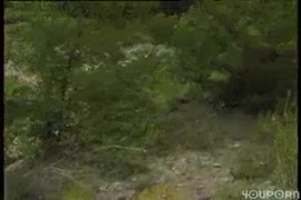 صوره بنات مشلحات