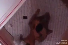 مقاطع صور اجمل بنات البرتغال سكس ساخن مجاني