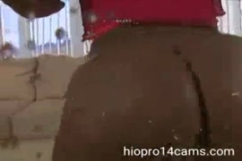 سكس تجيب ضهرا