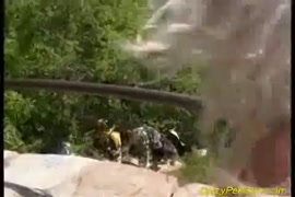 بنيت يمني مأرب صغرنيك