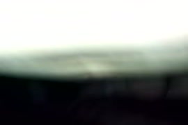 سكس حيوانات حصان قصير