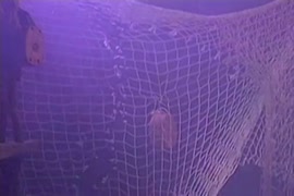 Xnxx في الرسوم المتحركة الجاسوسات