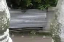 حصان ينيك رجل في المزرعة سكس فيديو