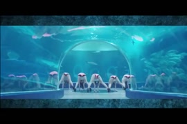 سكس بنات معا حيوانات