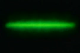 سكس ممثلة نور التركيه