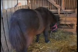 أحلى نيك كس واير ومص صور متحركة