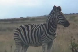 صور سكس متحركة للفنانة الهندية اشواريا راي